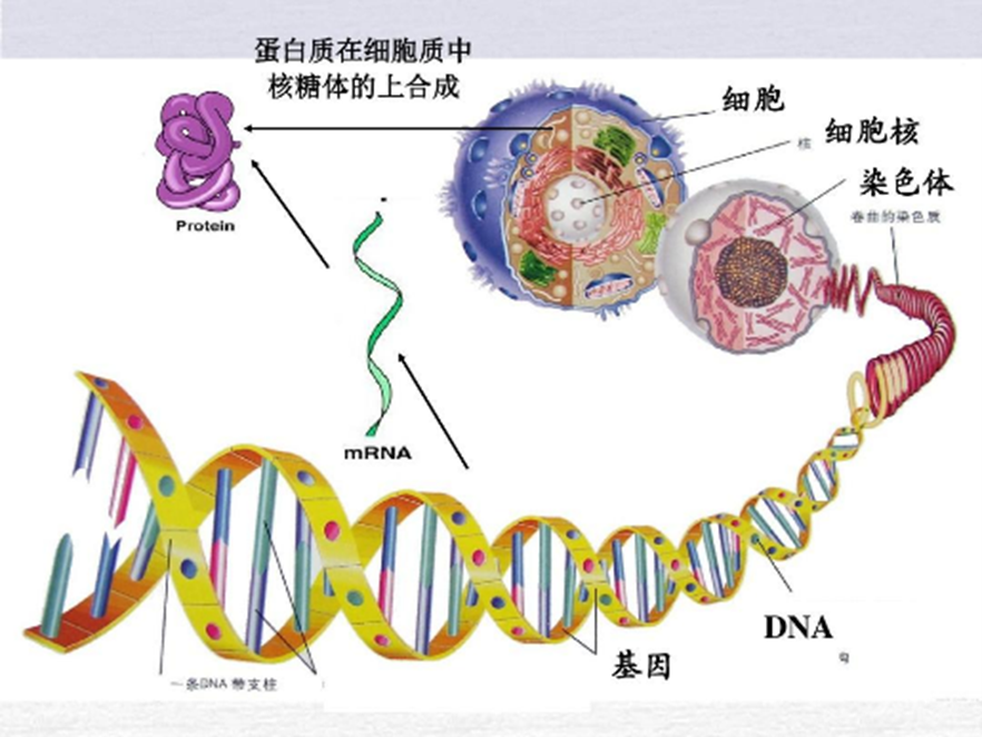今年会生物反应器